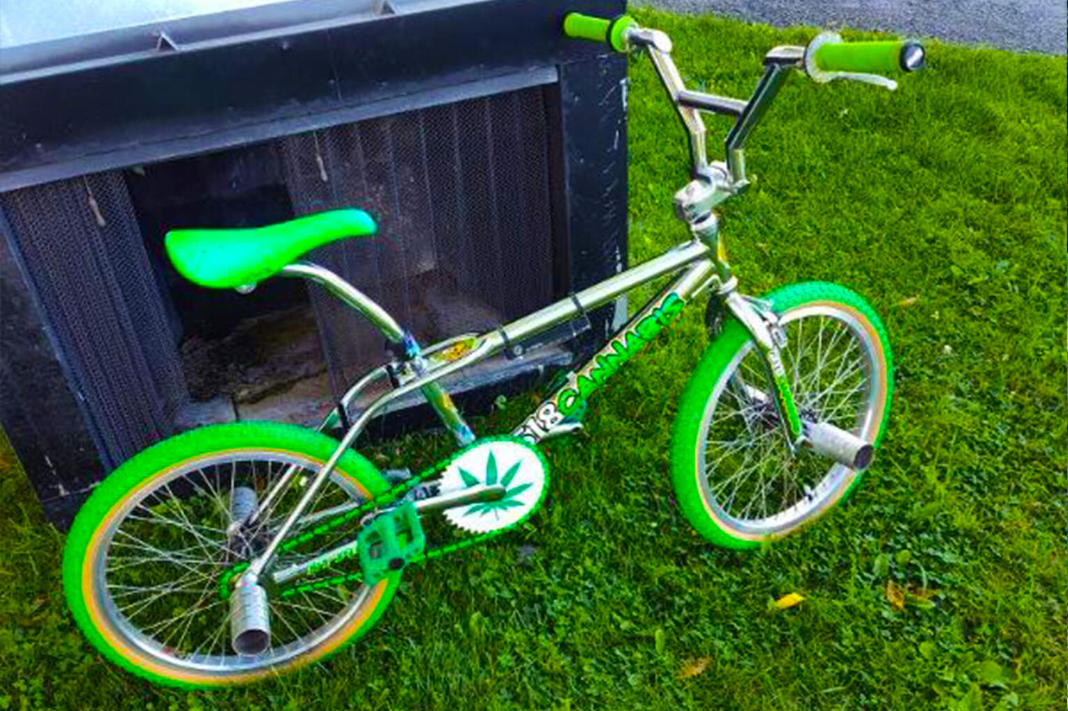 Cannabis Cup Cannabis themed BMX bike built by Wes Moore