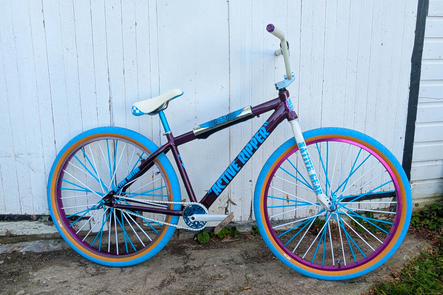 Active Ripper Active Native themed BMX bike built by Wes Moore